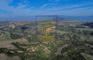 Agricultural land plot, 4000 SQ.M.