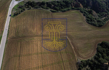 Agricultural land plot, 4000 SQ.M.