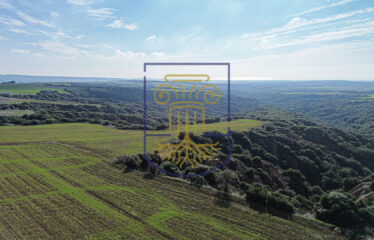 Agricultural land plot, 4000 SQ.M.