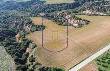 Agricultural land plot, 4000 SQ.M.
