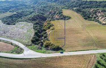 Agricultural land plot, 4000 SQ.M.
