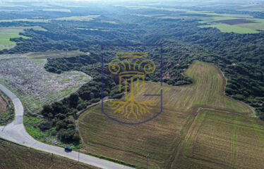 Agricultural land plot, 4000 SQ.M.