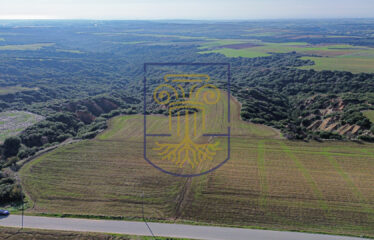 Agricultural land plot, 4000 SQ.M.