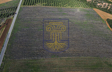 Agricultural land plot, 34.875 SQ.M