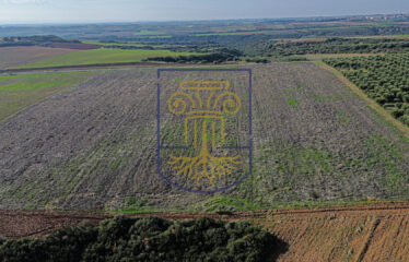 Agricultural land plot, 34.875 SQ.M