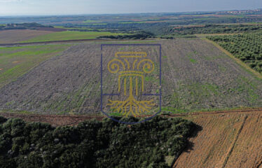 Agricultural land plot, 34.875 SQ.M