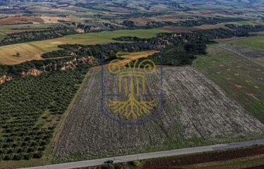 Agricultural land plot, 34.875 SQ.M