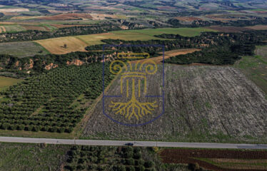 Agricultural land plot, 34.875 SQ.M