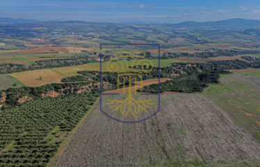 Agricultural land plot, 34.875 SQ.M