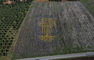 Agricultural land plot, 34.875 SQ.M