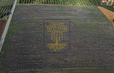 Agricultural land plot, 34.875 SQ.M